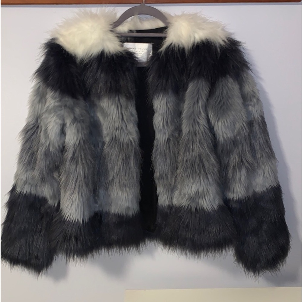 Zara Fur Jacket